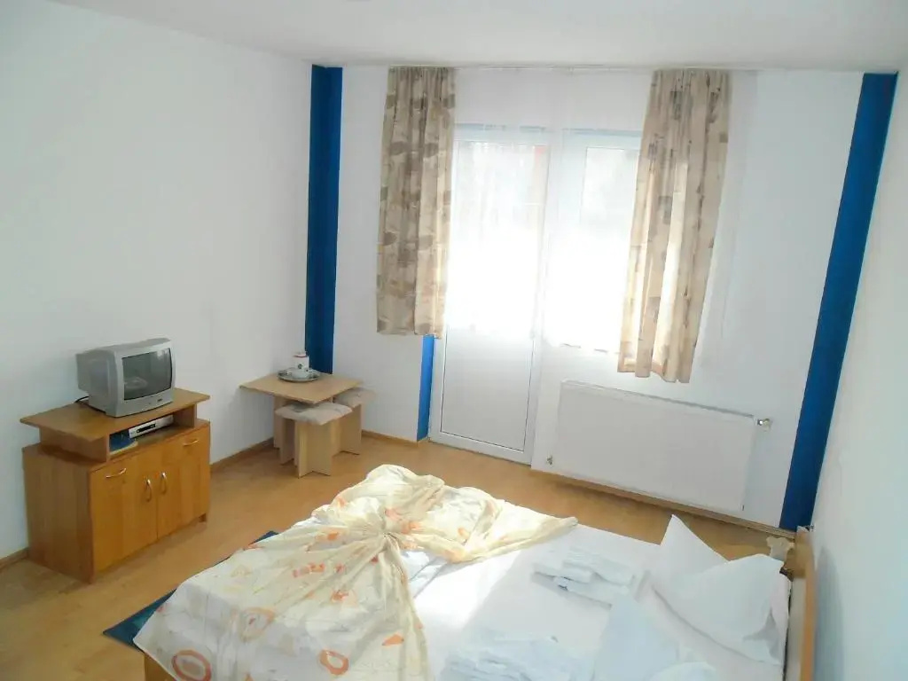 Pensiunea Hera Standard - Chambres