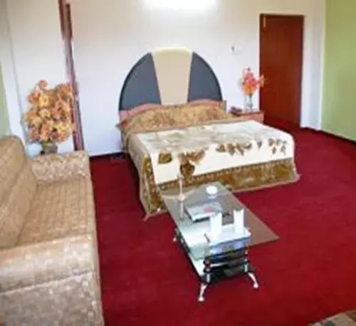 Hotel Rajshree Pushkar - Général
