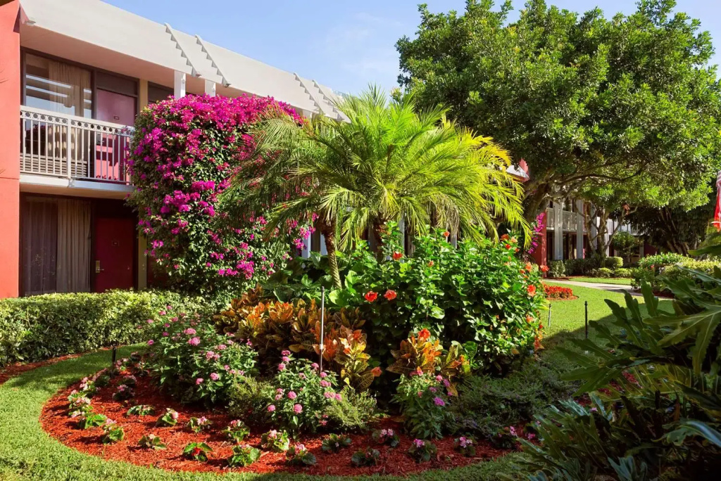 Collins Hotel Naples