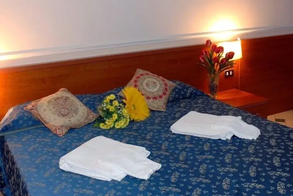 Standard Double room (full double bed)