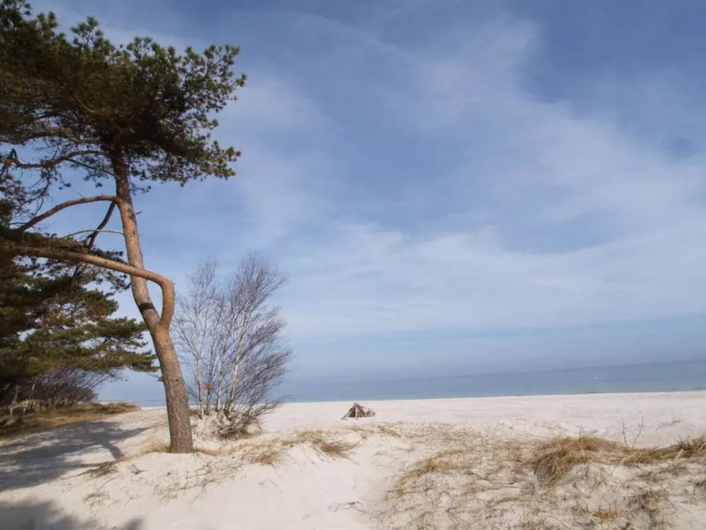 "Nicolas" - 125m from the sea in Bornholm