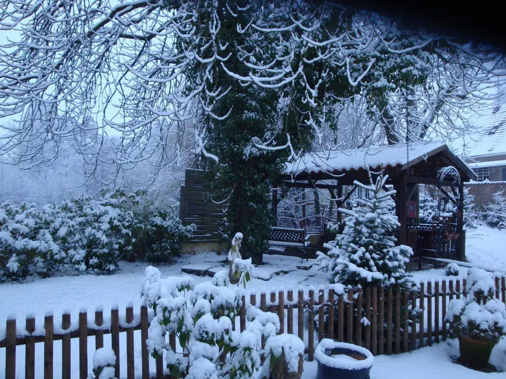 Domaine Du Moulin En Alsace