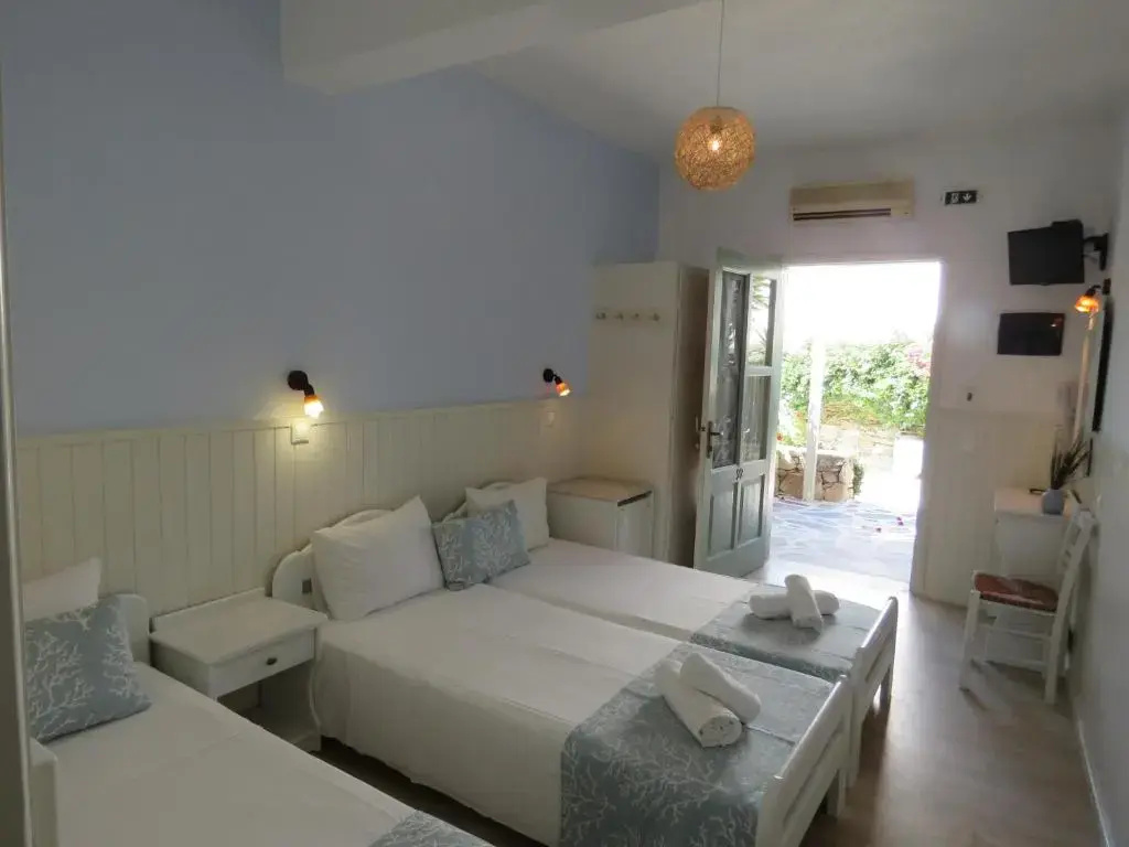 Standard Double room with garden view (full double bed)