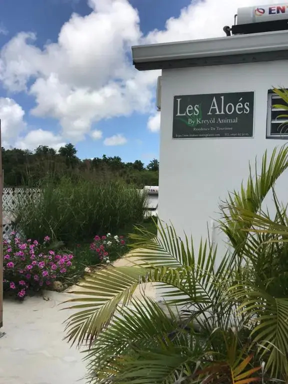 LES ALOÈS By CREYOL ANIMAL