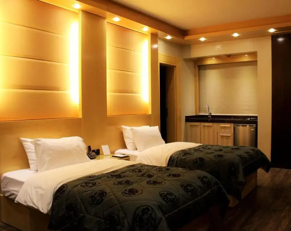 Standard Double room (full double bed)