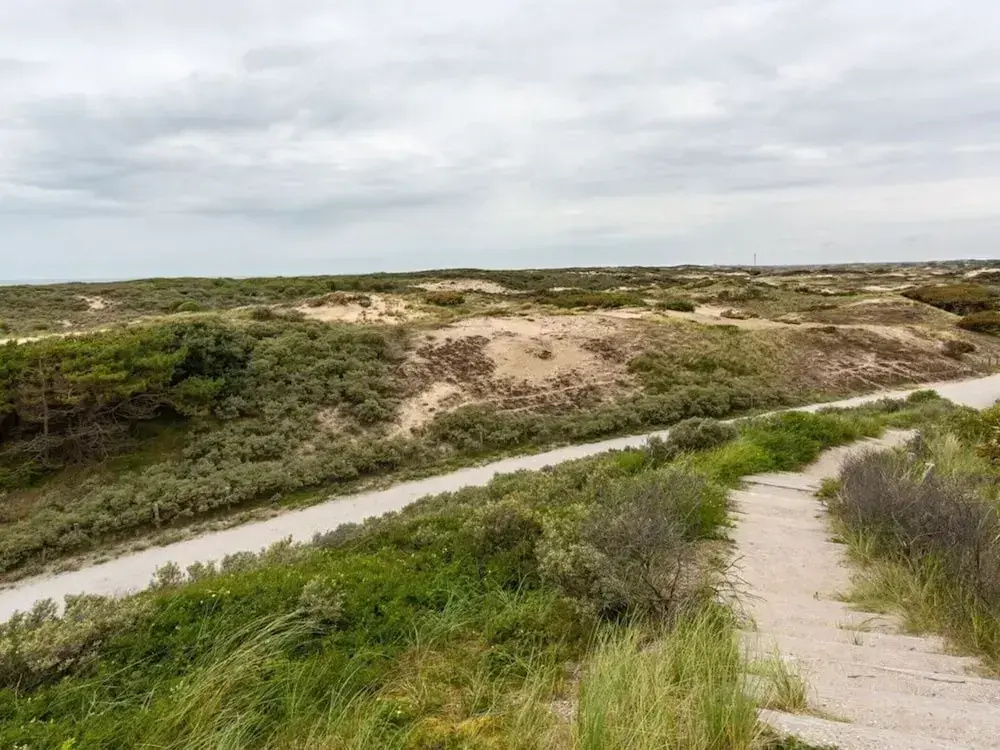 Holiday Home Dune Nest