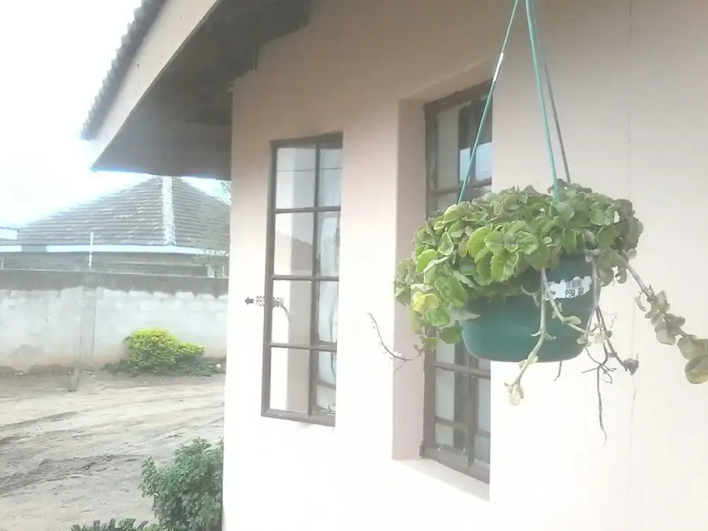 Sharon Avenue Guesthouse