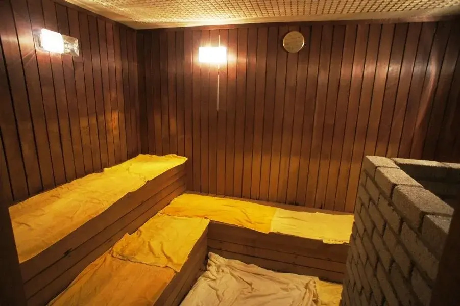 Hotel Chalet Yuzawa Ginsui - Général