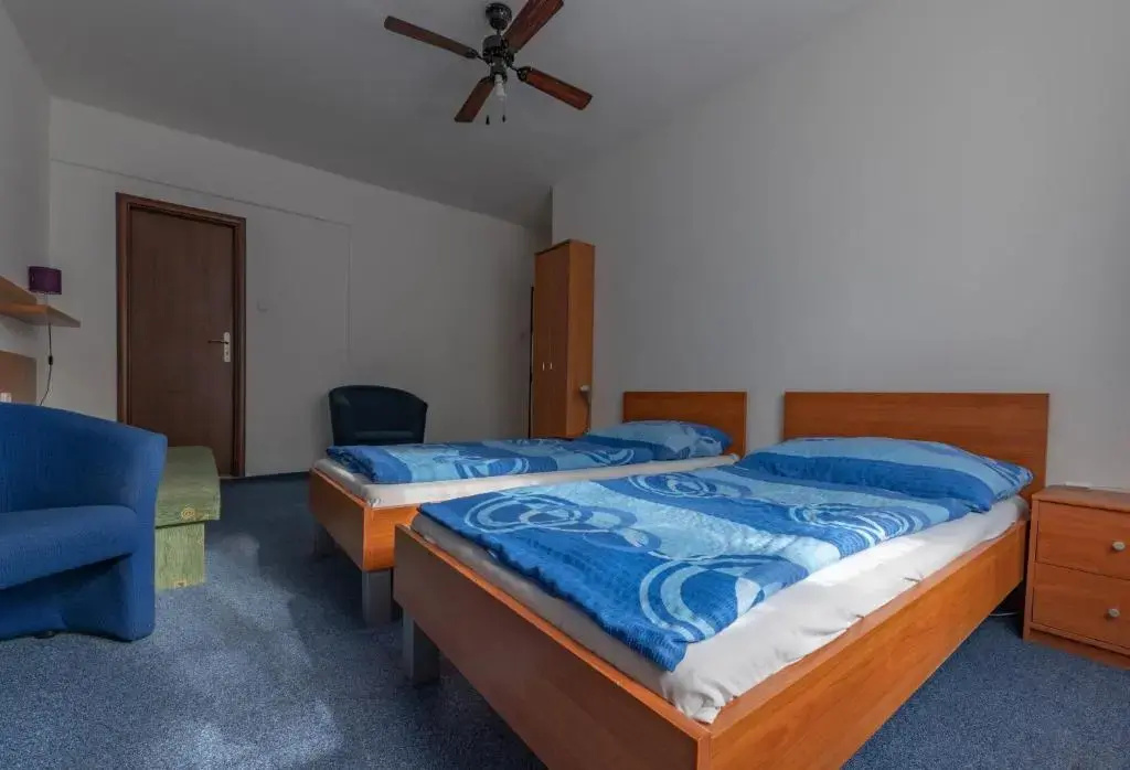 Standard Double room (full double bed)