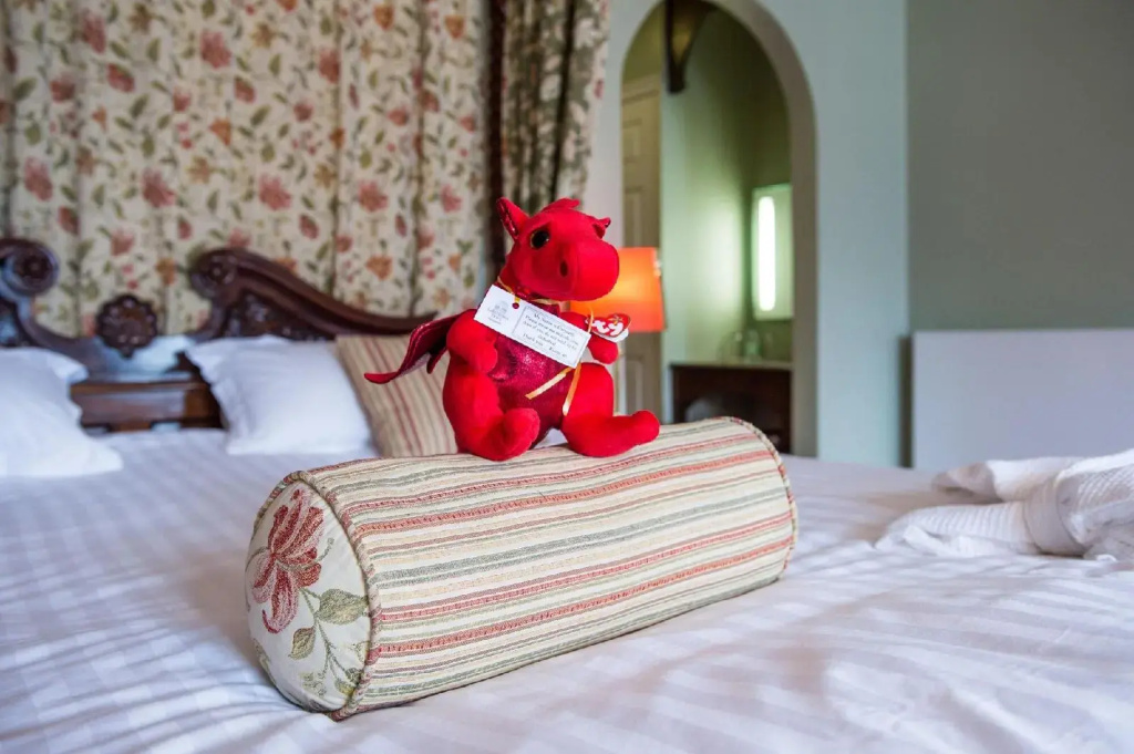 Lake Vyrnwy Hotel & Spa - Général