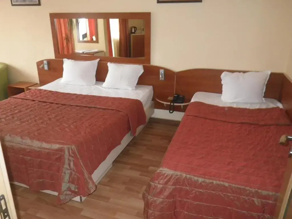 Palitra Family Hotel - Chambres