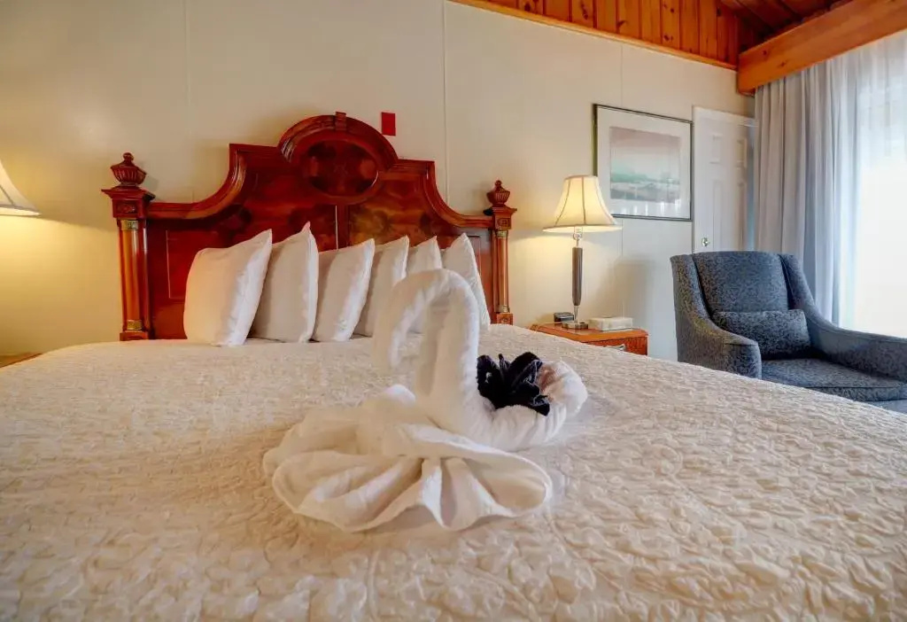 Standard Double room with street view (full double bed)
