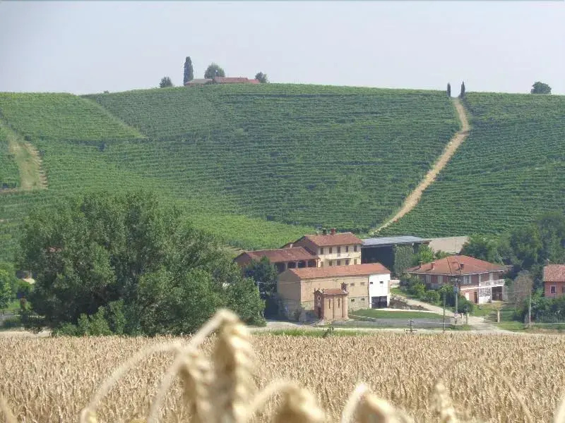 GranCollina - Général