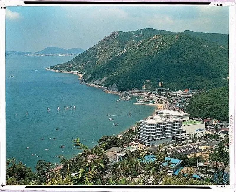 Beach & Waterfront