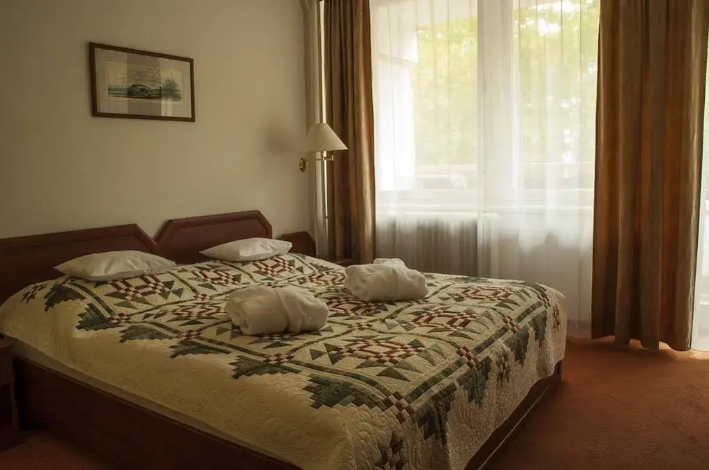 Komfort Hotel Platán - Général