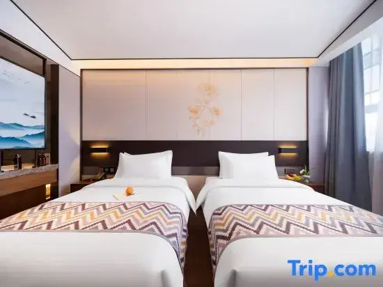 Superior Double room (twin beds)