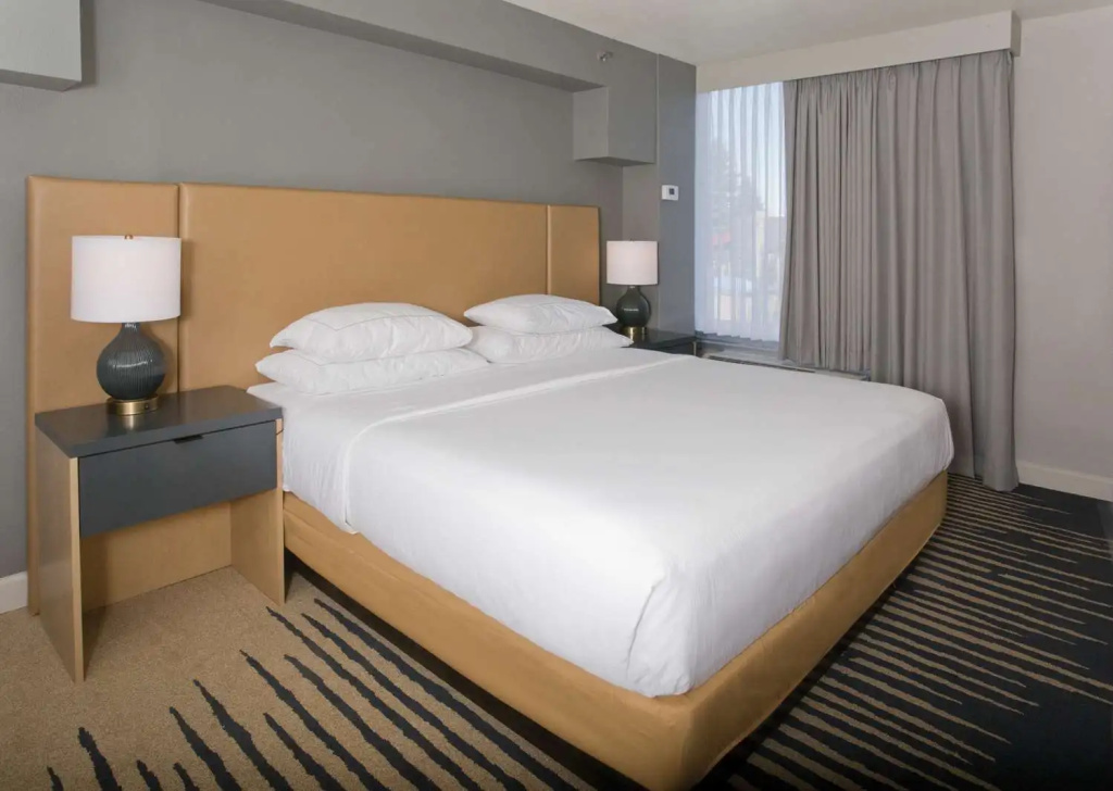 DoubleTree by Hilton Chico - Chambres