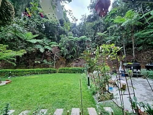 Arundina Cameron Highlands