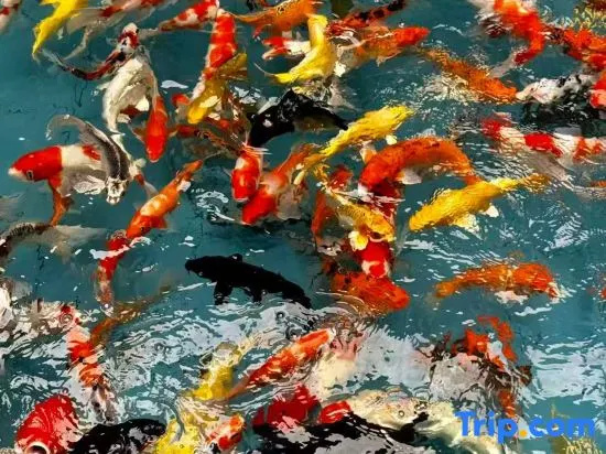 Park Inn by Radisson, Gongcheng, Guilin City in Guilin