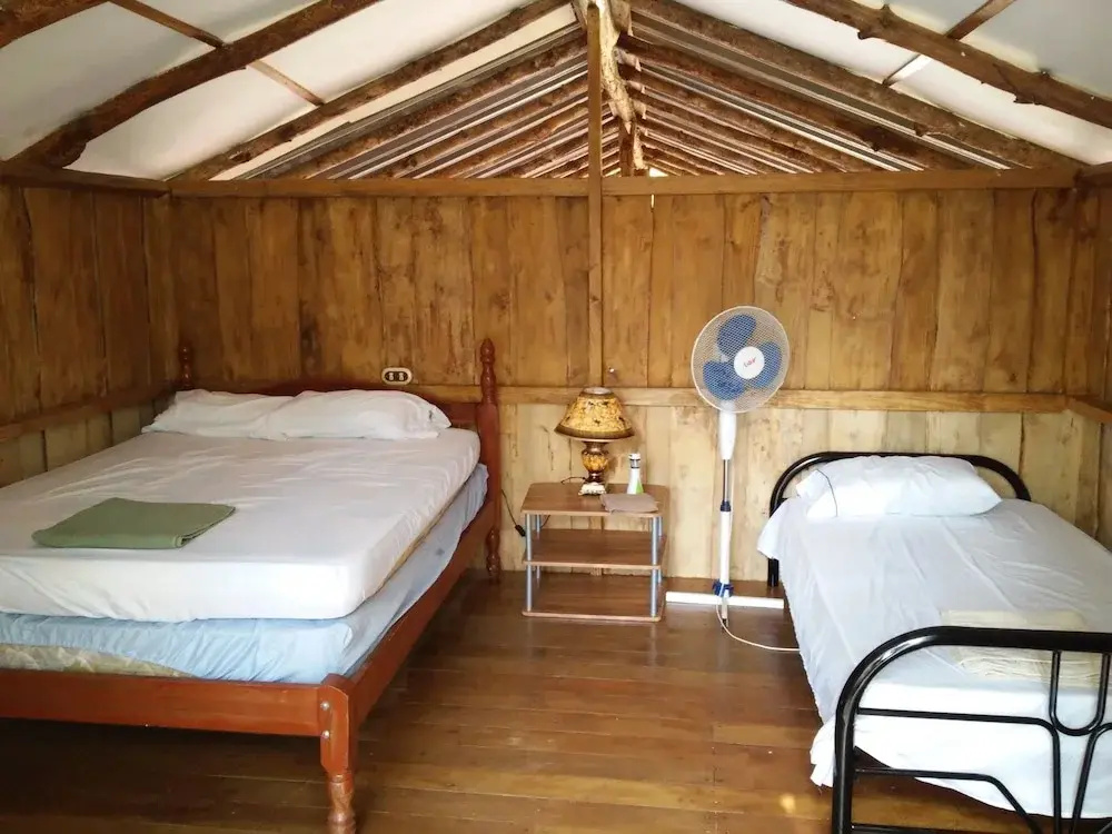 Economy Apartment