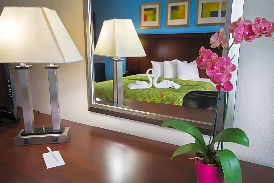 Ramada by Wyndham Hotel & Water Park - Chambres