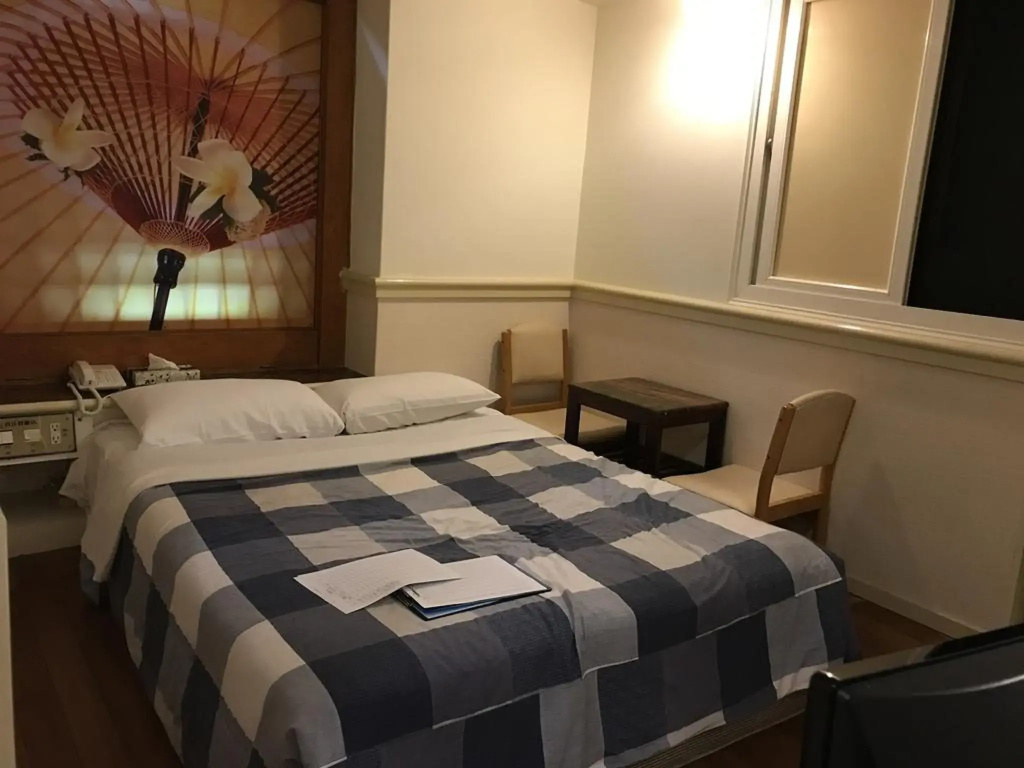 Standard Double room (full double bed)