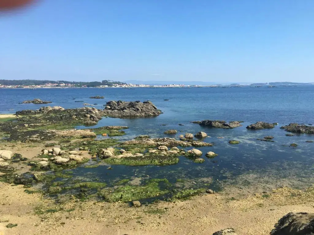 Beach & Waterfront