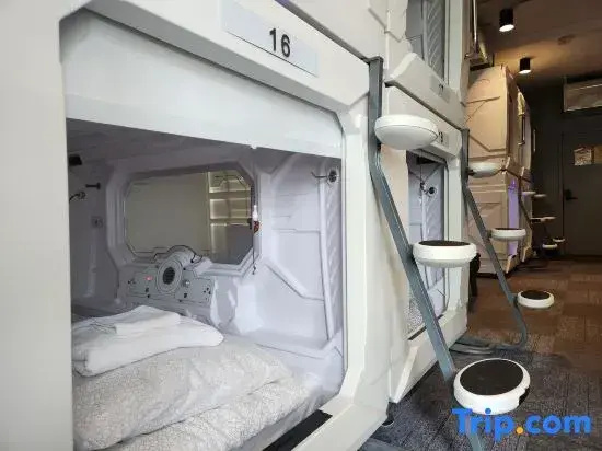 Standard Capsule