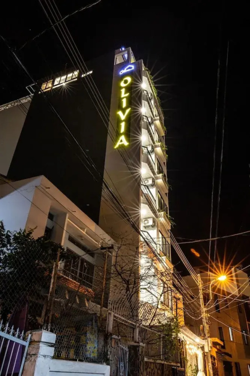 Olivia Apartment