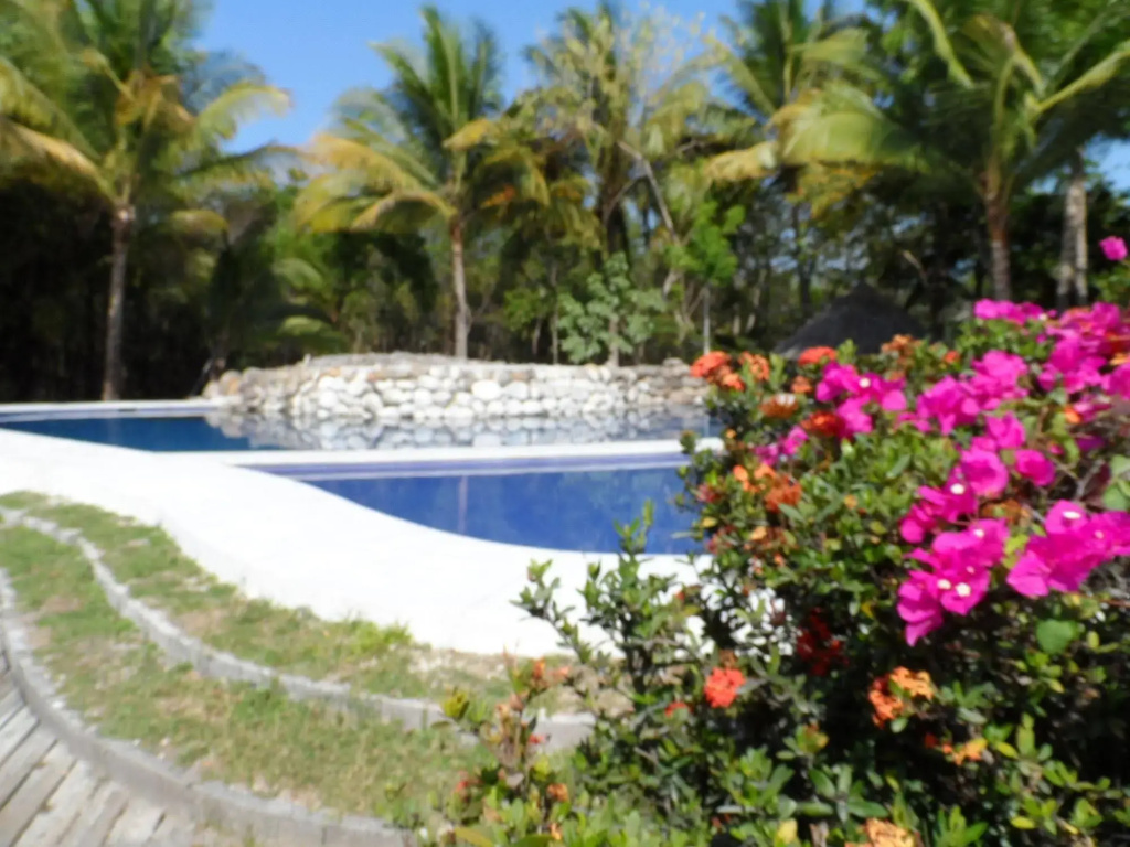 Puerto Barillas Marina & Lodge - Général