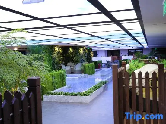 Balcony & Terrace