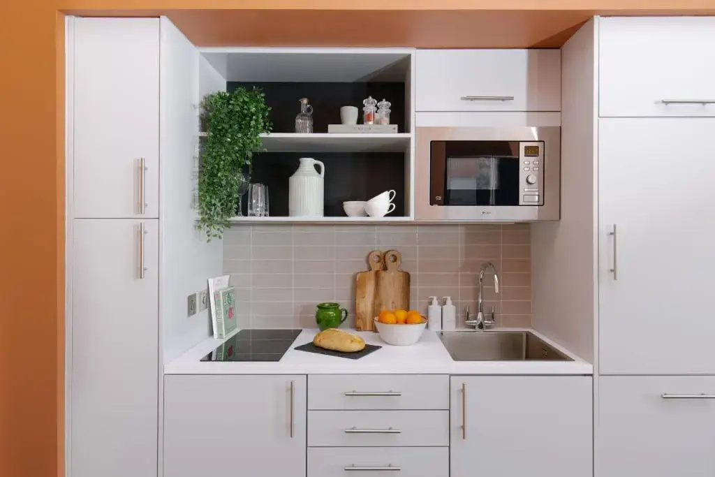 1 Bedroom Basement Apartment