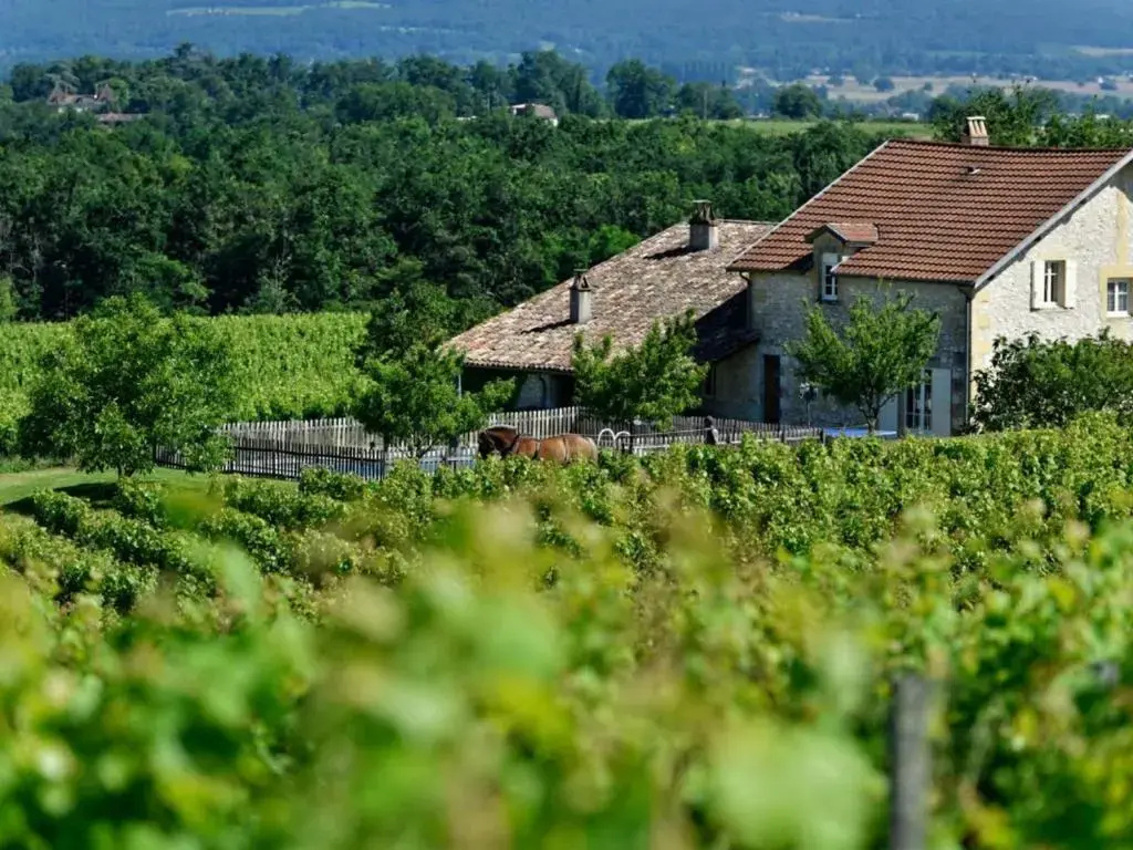 Gite Saussignac, 7 pièces, 13 personnes - FR-1-616-128