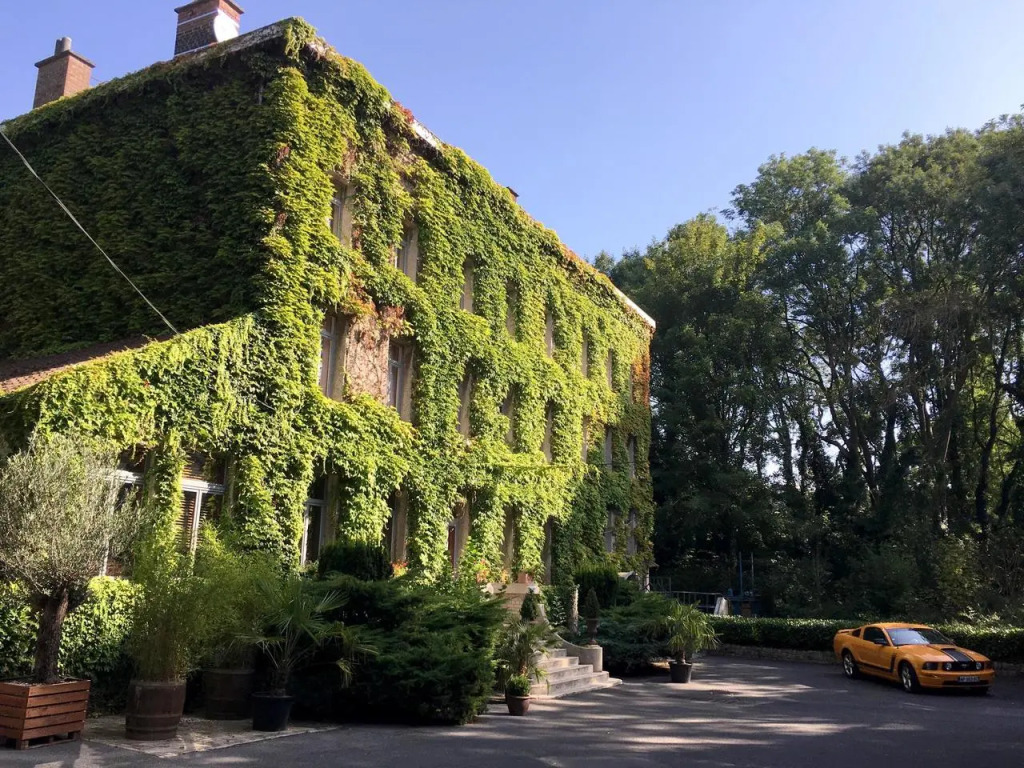 Image 12