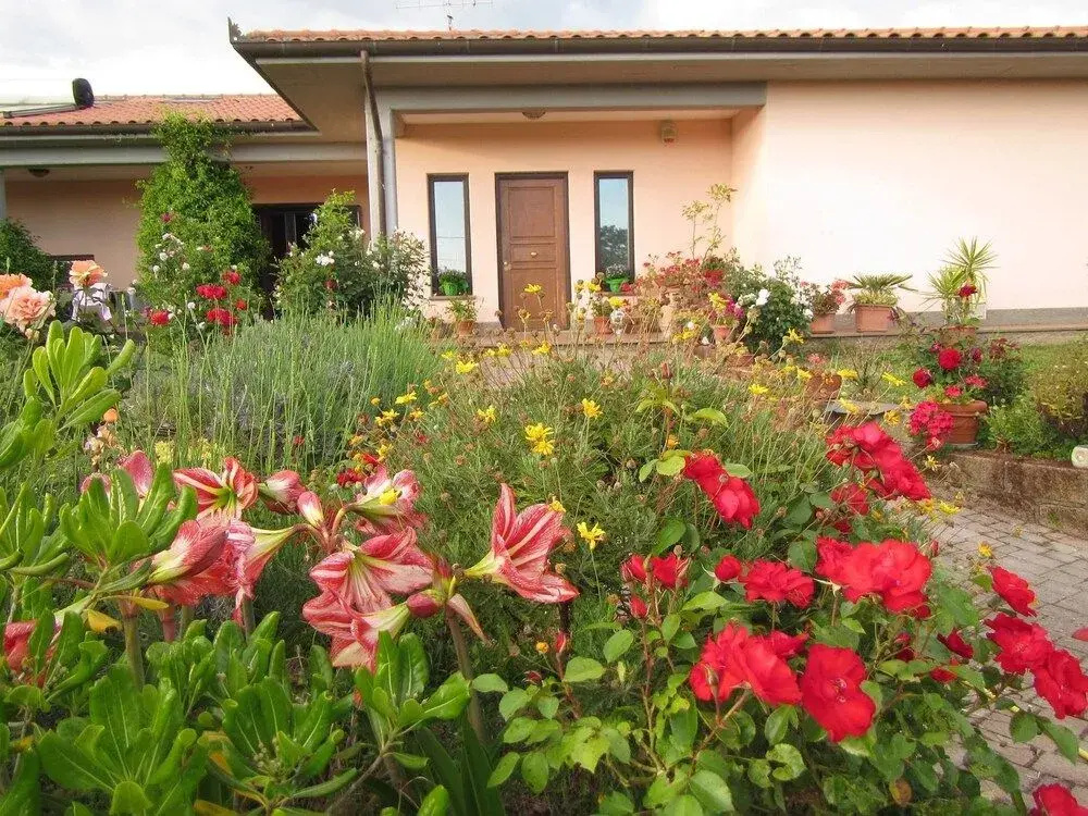B&B Il Vigneto Tuscania
