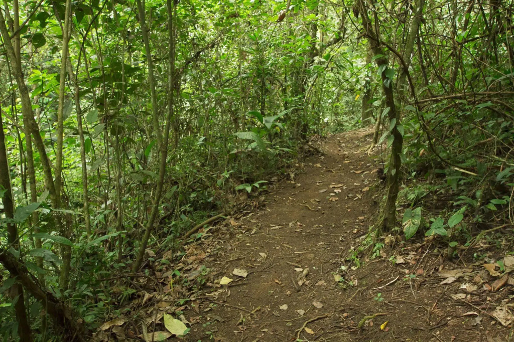 Villas Josipek - фото 39