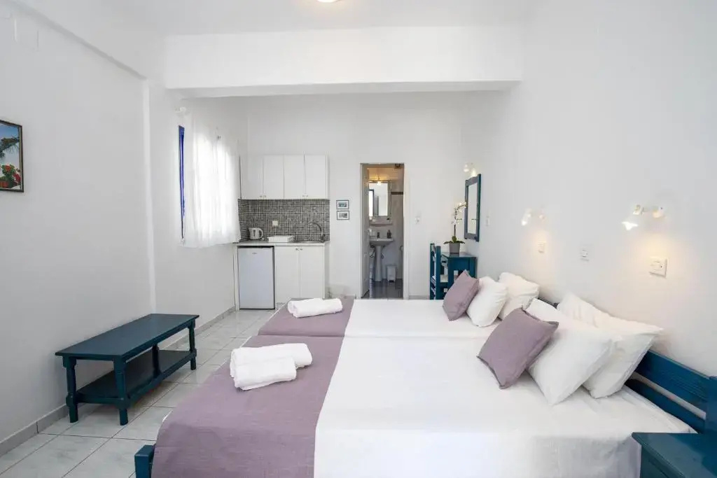 Superior Double room (twin beds)