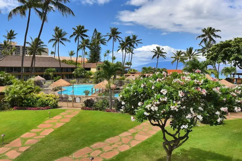 Maui Kaanapali S #d271 1 Bedroom Condo by RedAwning
