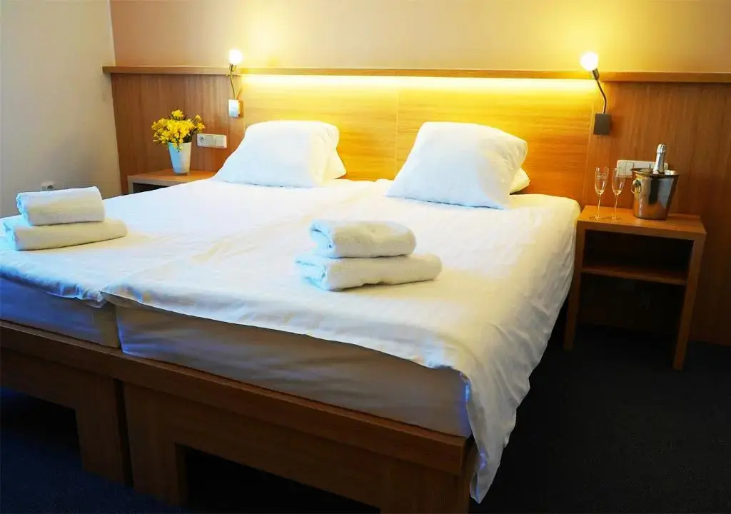 Hotel Baltaci U Náhonu - Chambres