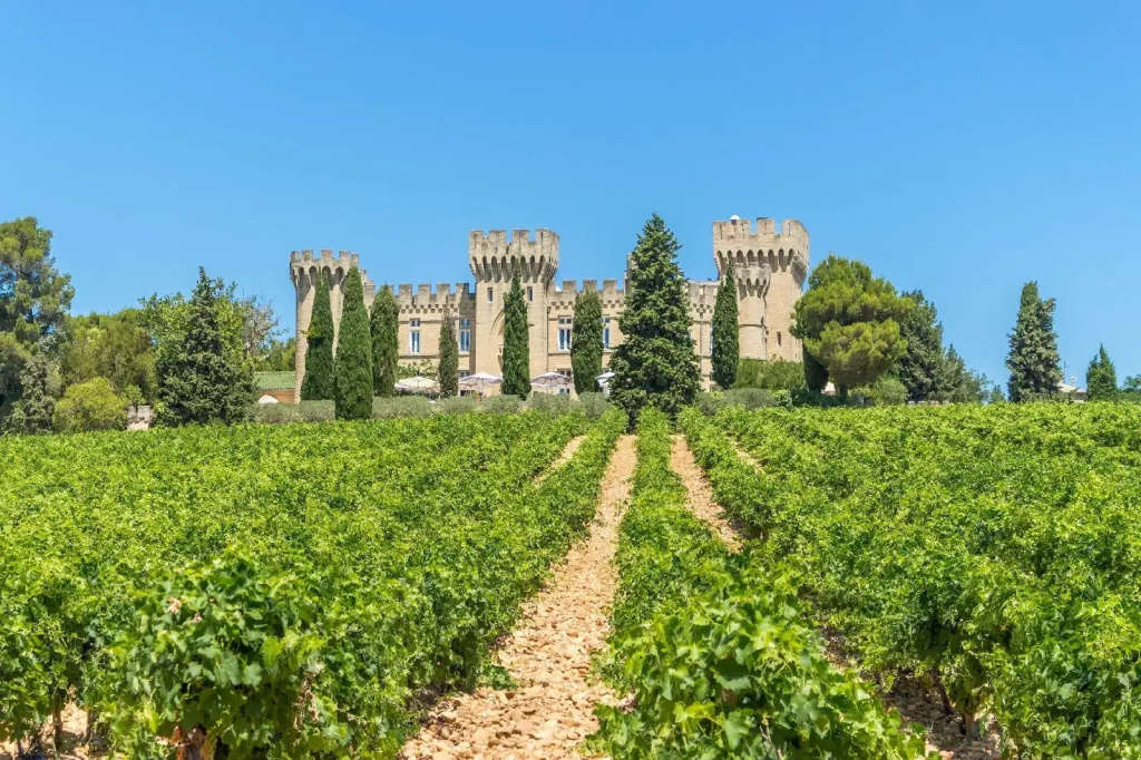 Chateau Des Fines Roches - Général