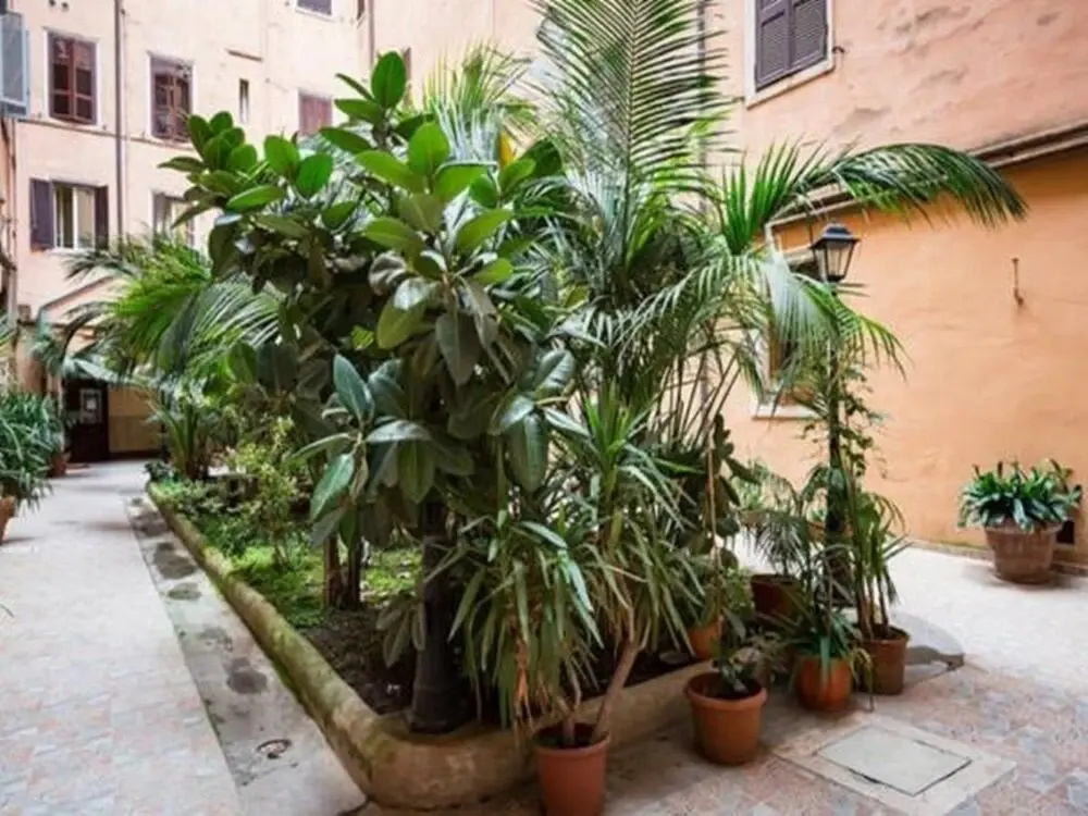 Gio Guest House