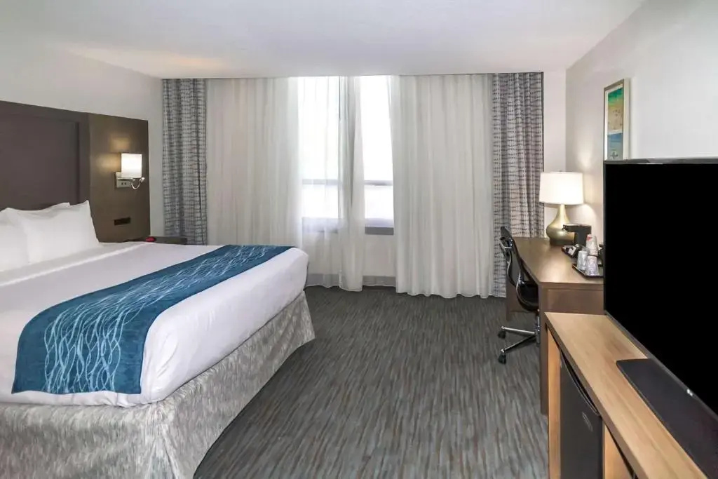 Comfort Inn & Suites Downtown Brickell-Port of Miami - Chambres