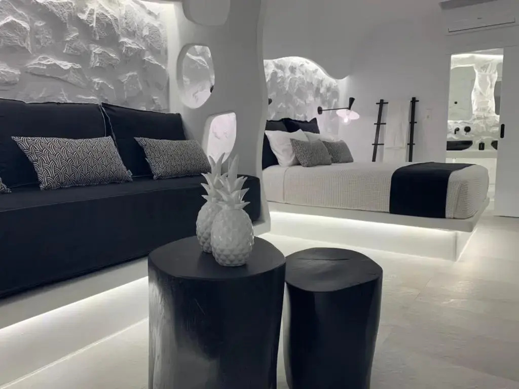 Luxury Apartment