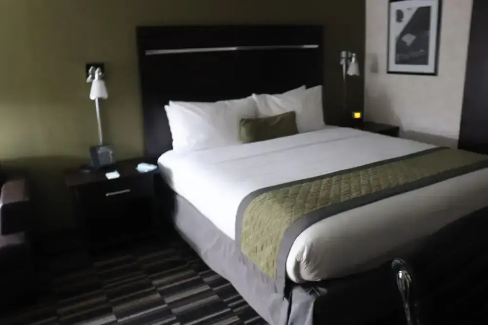 Uptown Oasis San Jose Airport - Chambres