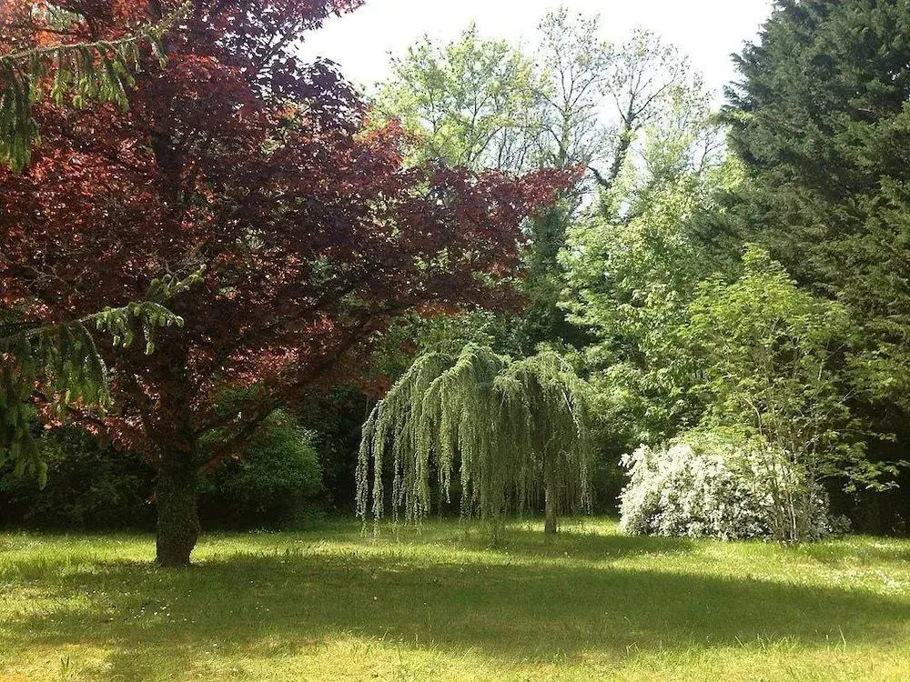 Domaine des Douves