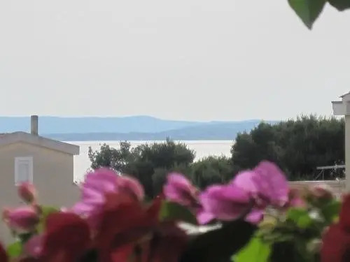 Apartments Villa Violet