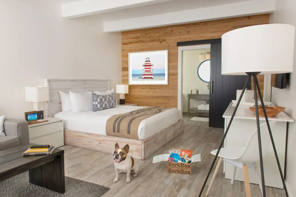 Blue Flamingo Resort Key West — фото 4