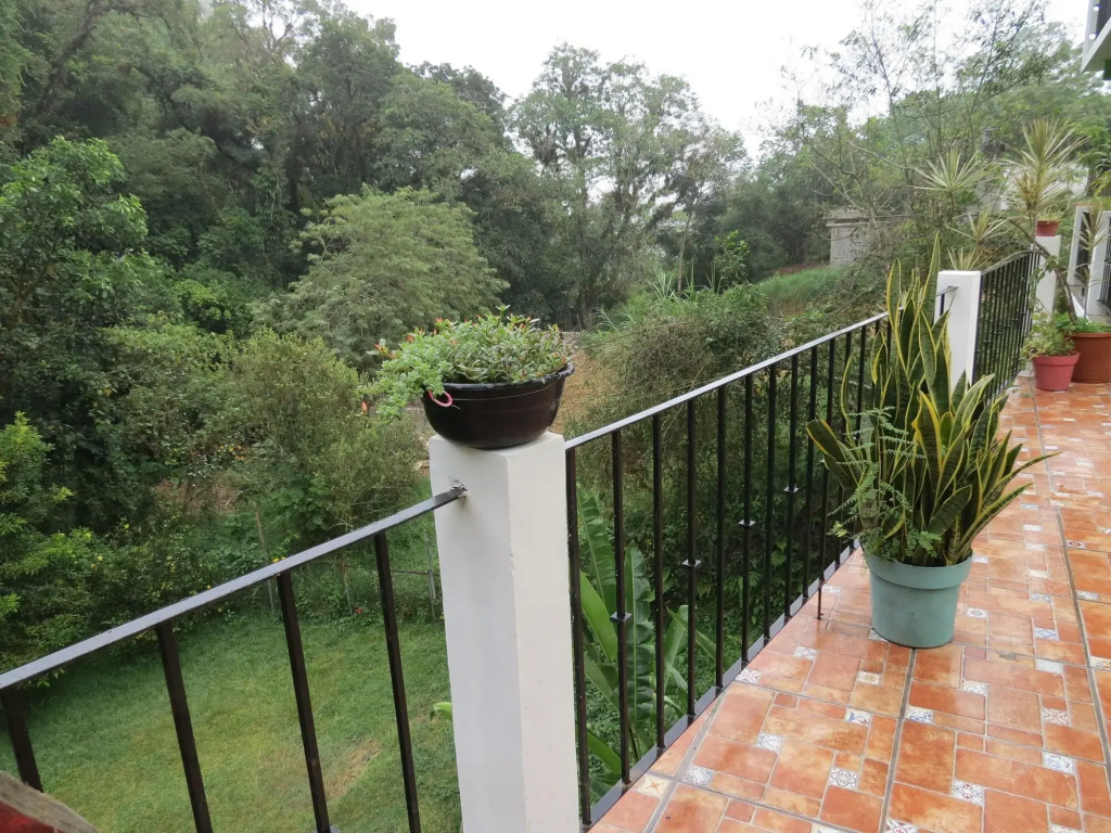 Balcony & Terrace