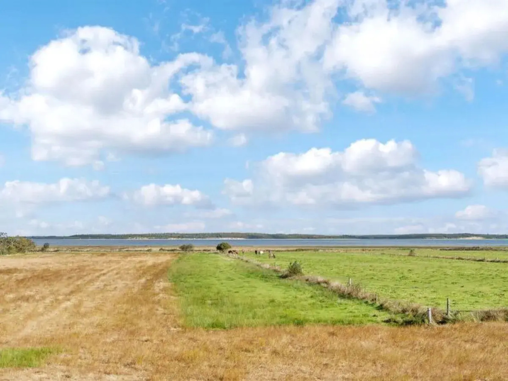 "Karanfilka" - 3.5km from the sea in Western Jutland