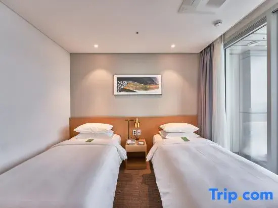 Deluxe Double room with ocean view (twin beds)